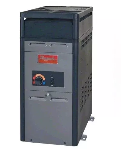 RayPak 106,000 BTU High Altitude Propane Heater - 014783