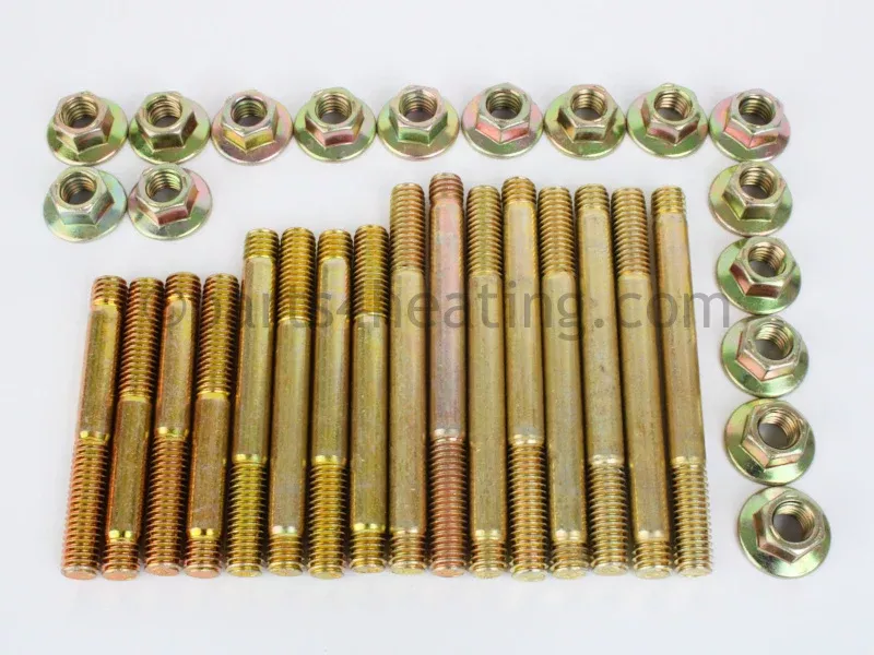 Raypak Stud Bolt Kit W/Pump Header - Part Number: 007829F
