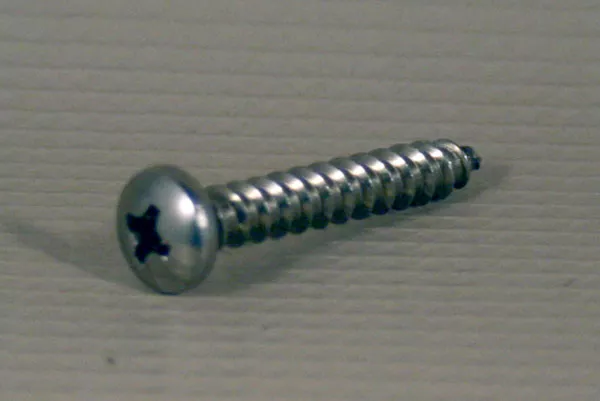 Screw #10 x 1 1/4 PPH SS