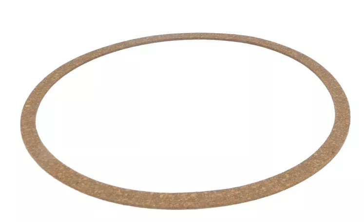 Sta-Rite Body Gasket - C20-77C