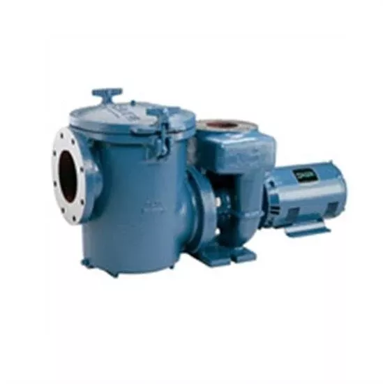 Sta-Rite Hair And Lint Strainer For CSP Series