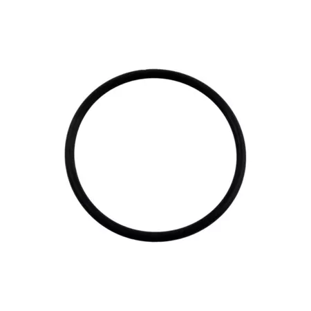 Viton Lid O-Ring for CL100 and CL110 Chlorine Feeders
