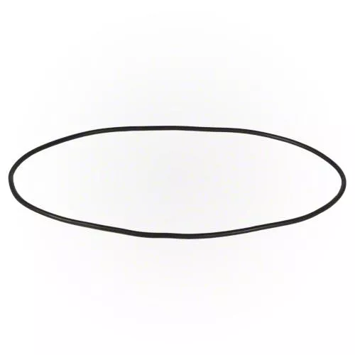 Waterway Viper Pump O-ring - 805-0263