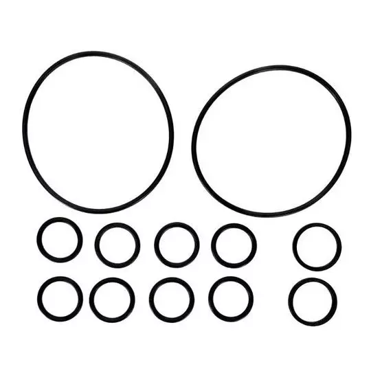 Zodiac Jandy Backwash Valve O-ring Kit - R0552400