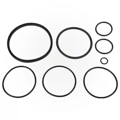 Zodiac Nature 2 Fusion O-Ring Kit R0502500