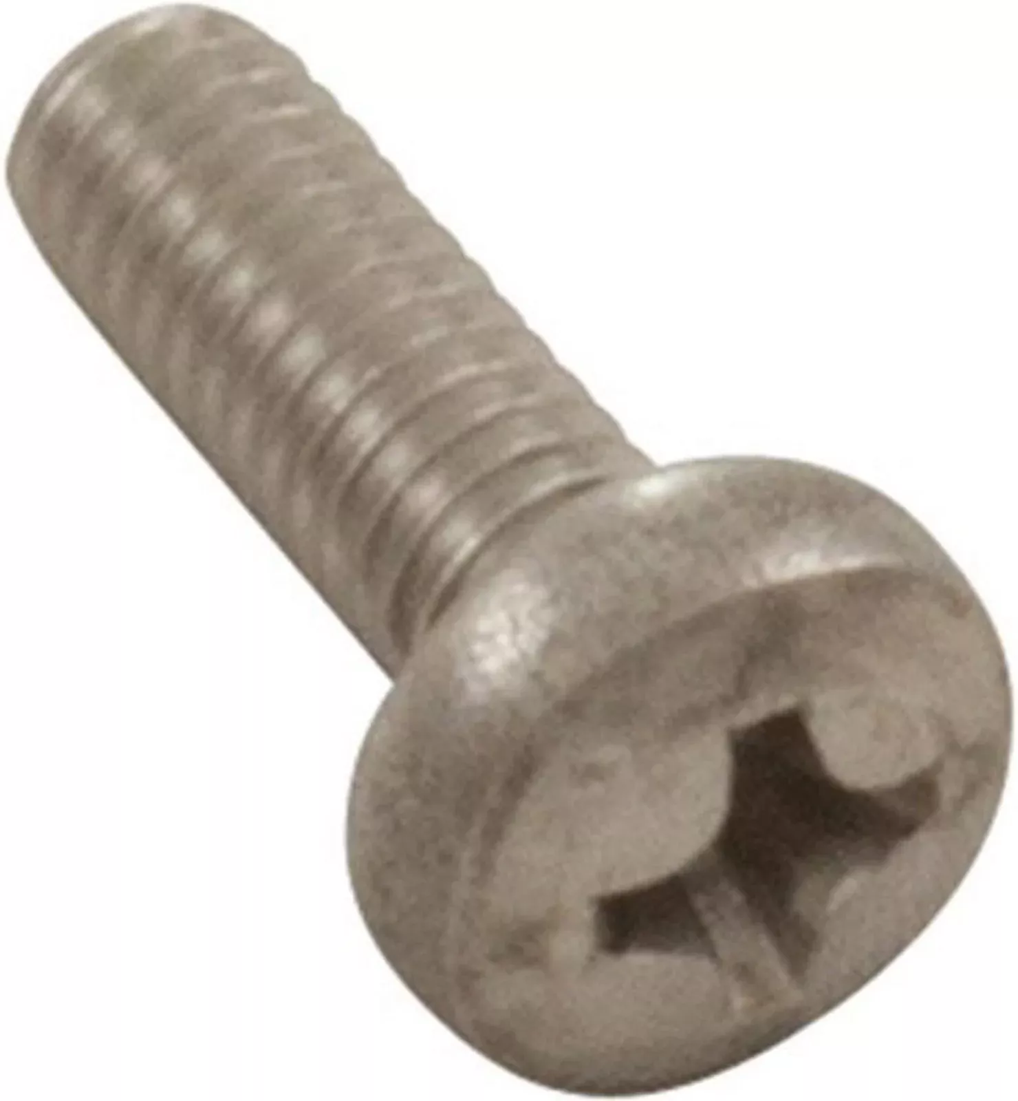 Zodiac R0527100 Phillips Pan Head Screw M4 × 12mm (Single Screw)