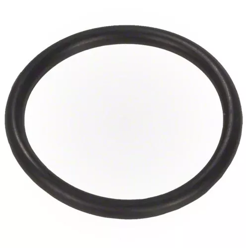Zodiac Tab Feeder O-Ring R0586200